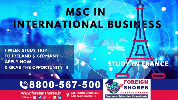 MSc in International Business France
